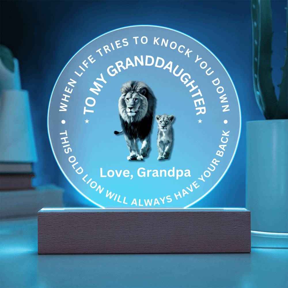 Special Gift For Granddaughter - LED Acrylic Plaque - SO#1472