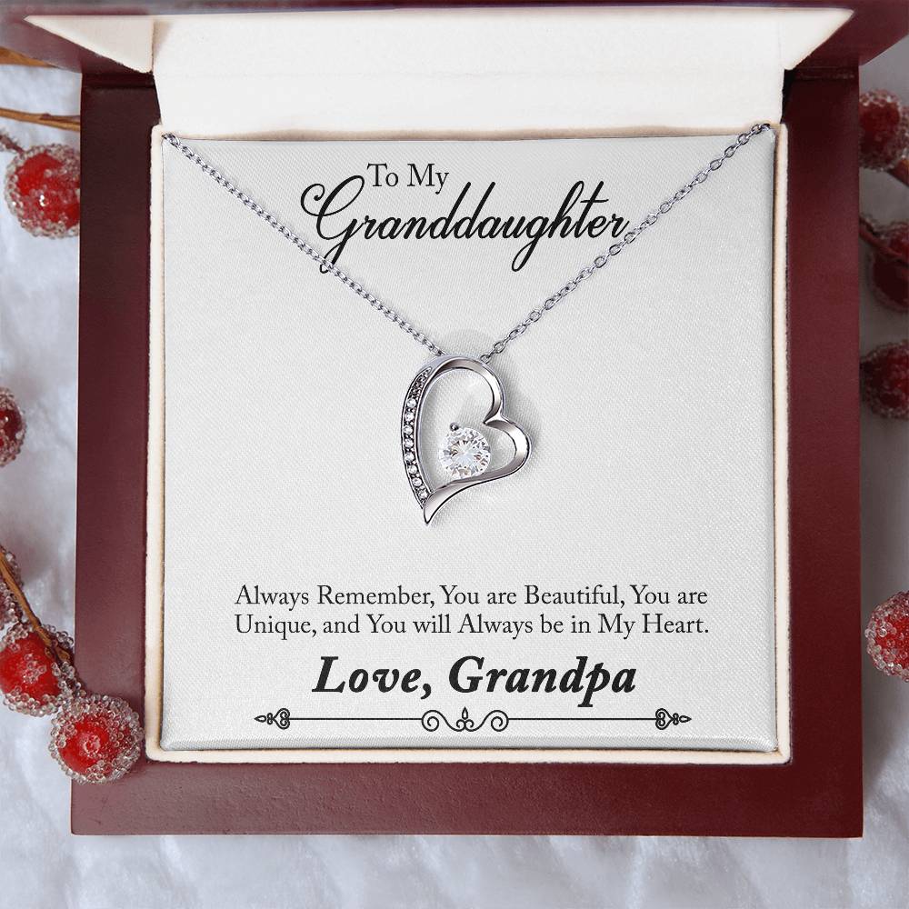 To My Grand Daughter / From Grandpa Forever Love Necklace - SO - 0012