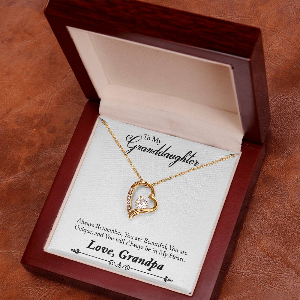 To My Grand Daughter / From Grandpa Forever Love Necklace - SO - 0012