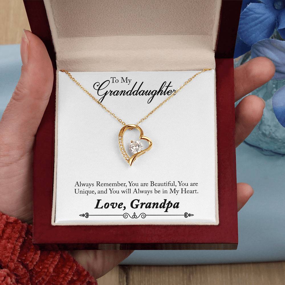 To My Grand Daughter / From Grandpa Forever Love Necklace - SO - 0012