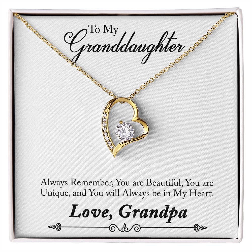 To My Grand Daughter / From Grandpa Forever Love Necklace - SO - 0012