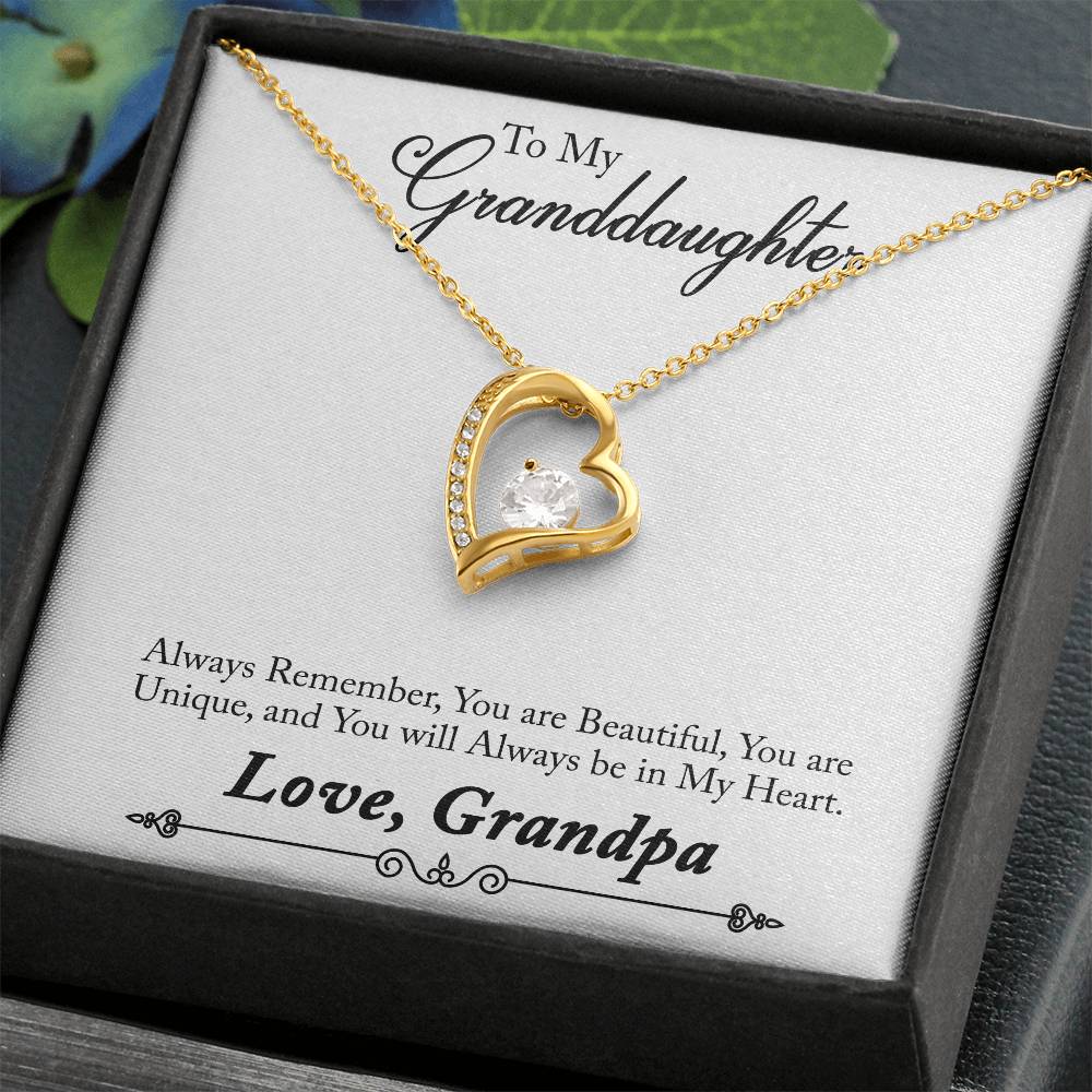 To My Grand Daughter / From Grandpa Forever Love Necklace - SO - 0012