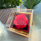 To My Daughter - From Dad - Rotating Rose Box Necklace Gift Set SS#28