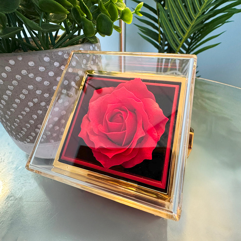 To My Daughter - From Dad - Rotating Rose Box Necklace Gift Set SS#28